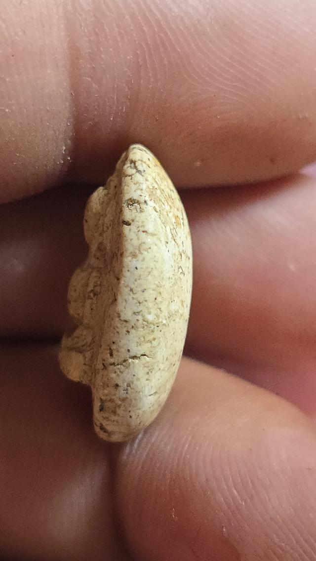 พระกรุวัดพลับ พิมพ์สมาธิเล็ก(ไข่จิ้งจก) 4