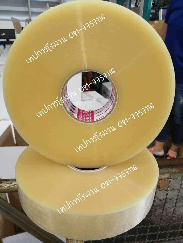 เทปปิดกล่อง 081-7757116