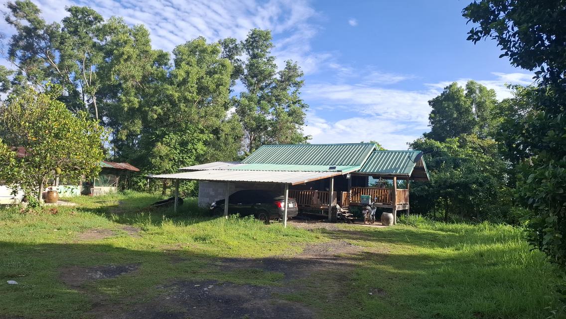 บ้านสวนสองหลังพร้อมที่ดิน2ไร่ 8