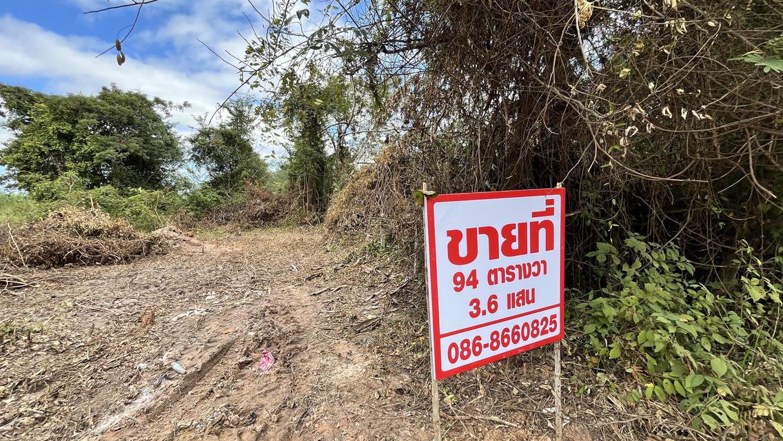 ขายที่ จ.อุบลฯ ราคาถูกมีโฉลด