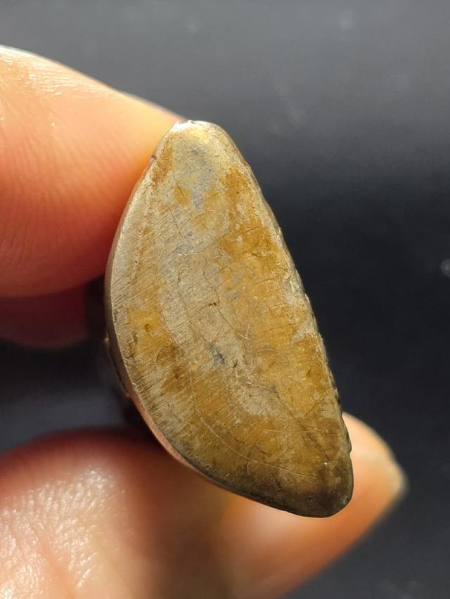 25/11#ขายพระบ้านเก่าเก็บ 3