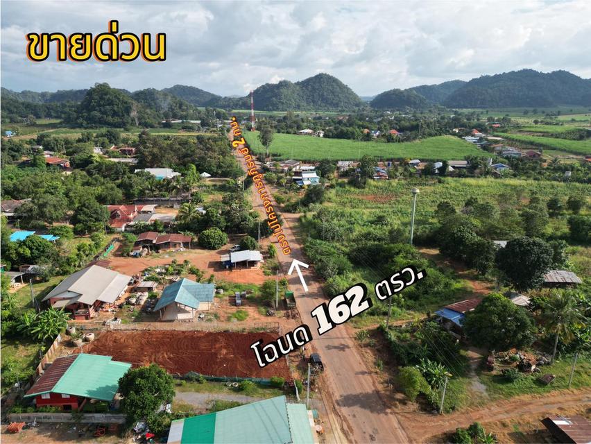 ขายที่ดินโฉนด เนื้อที่ 162 ตารางวา   1