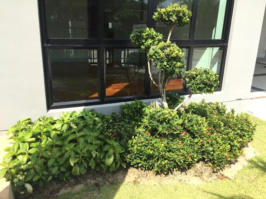 ขาย/ให้เช่า บ้านใหม่ 2 ชั้น Bangkok Boulevard เทพารักษ์–วงแหวน สไตล์โมเดิร์น แอร์ครบ เฟอร์ครบ เข้าอยู่ได้ทันที 8