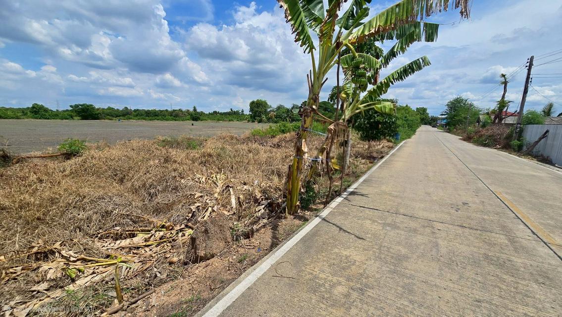 ขายด่วนที่ดิน 100 ตรว ติดถนนสาธารณะ ซ.วัดบัวสุวรรณประดิษฐ์ ลาดหลุมแก้ว ปทุมธานี 1