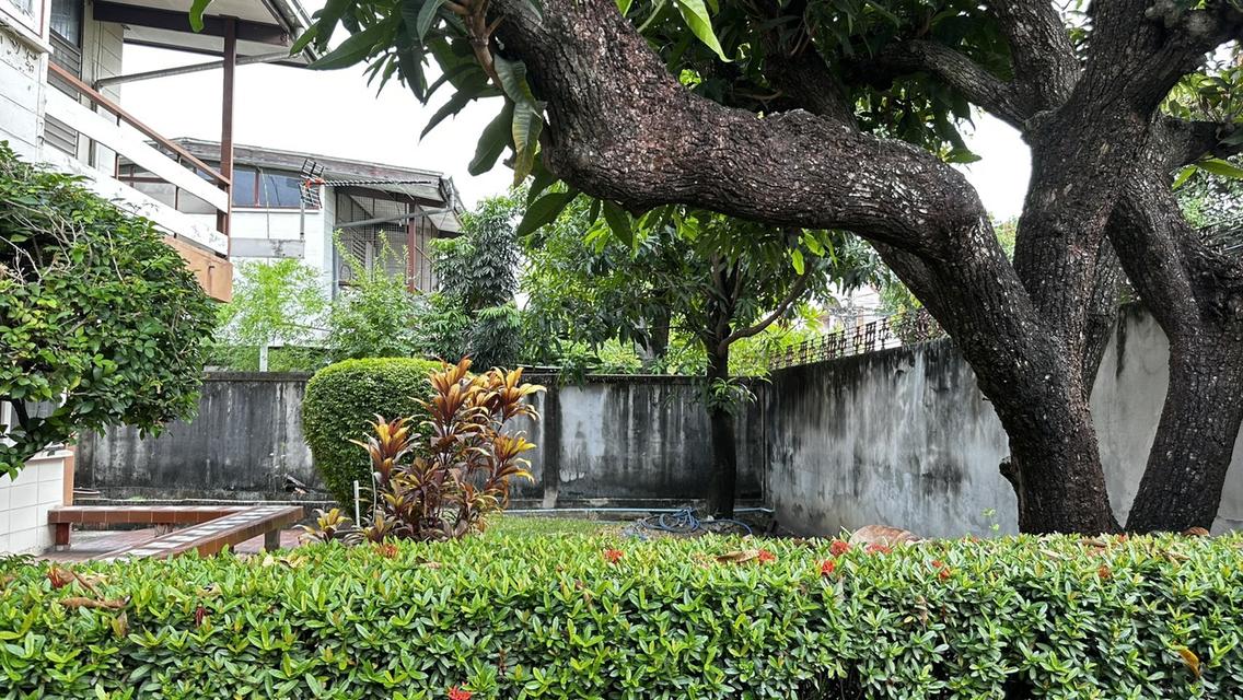 บ้านเสรี1หลังเดอะไนท์ 9