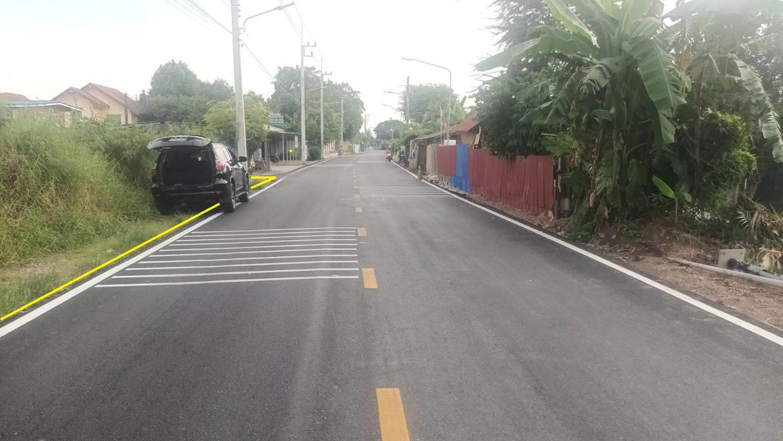 ที่ดินให้เช่าทำการเกษตร ฟรีค่าเช่าปีแรก เนื้อที่ 10 ไร่ ใกล้แหล่งน้ำ 11
