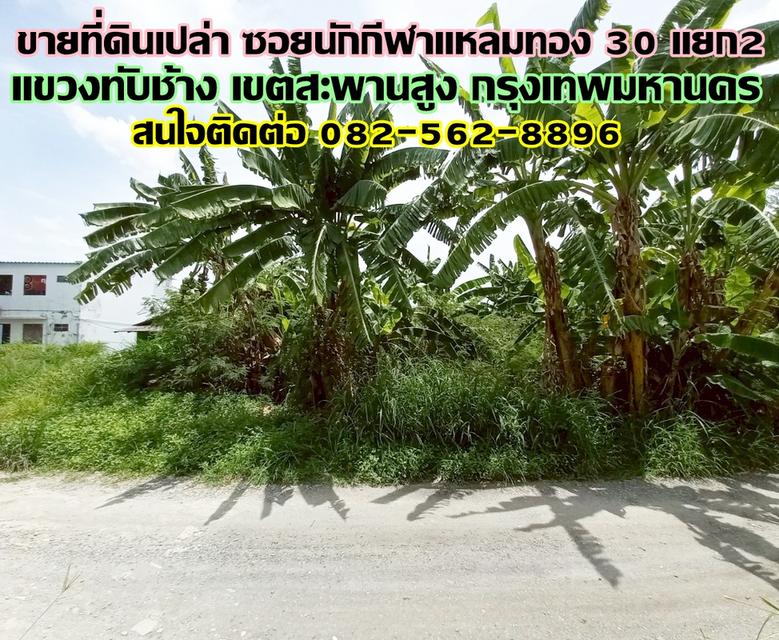 ขายที่ดินเปล่า ซอยนักกีฬาแหลมทอง 30 แยก2 ใกล้โรงเรียนสุเหร่าทับช้างคลองบน 1
