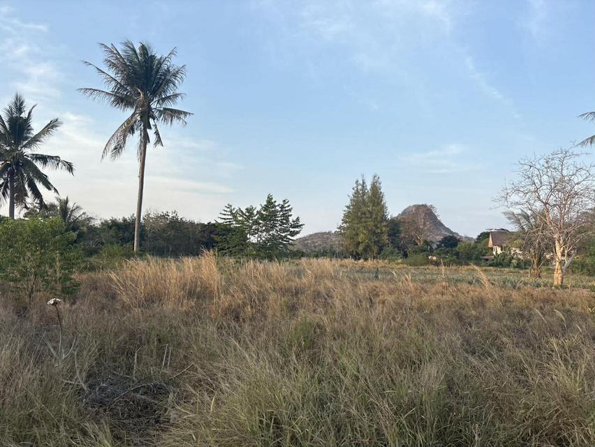 ขายที่ดินปราณบุรี วิวเขา สวยธรรมชาติ พื้นที่ 22 ไร่ 6 งาน 35 ตารางวา รายละเอียด *** ในราคาเสนอขาย 1,500,000  บาท/ไร่  โฉนด นส.3 ก. (ราคาต่อรองได้) 8