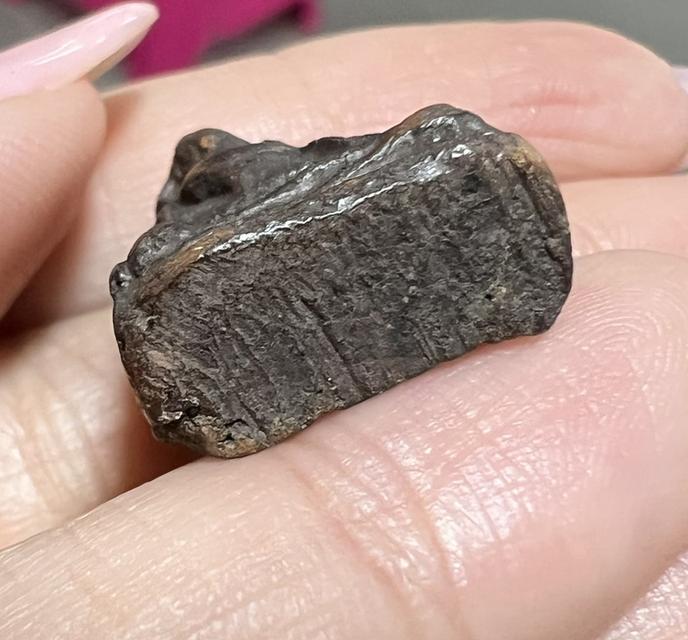 ให้เช่าค่ะ พระผงสุพรรณ 5