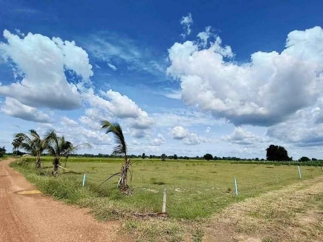 ขายที่ดินสวยราคาถูกพนัสนิคม พื้นที่ผังสีเหลือง ต.สระสี่เหลี่ยมอ.พนัสนิคม จ.ชลบุรี บนเนื้อที่16ไร่ 3 งาน 8 ตรว 4