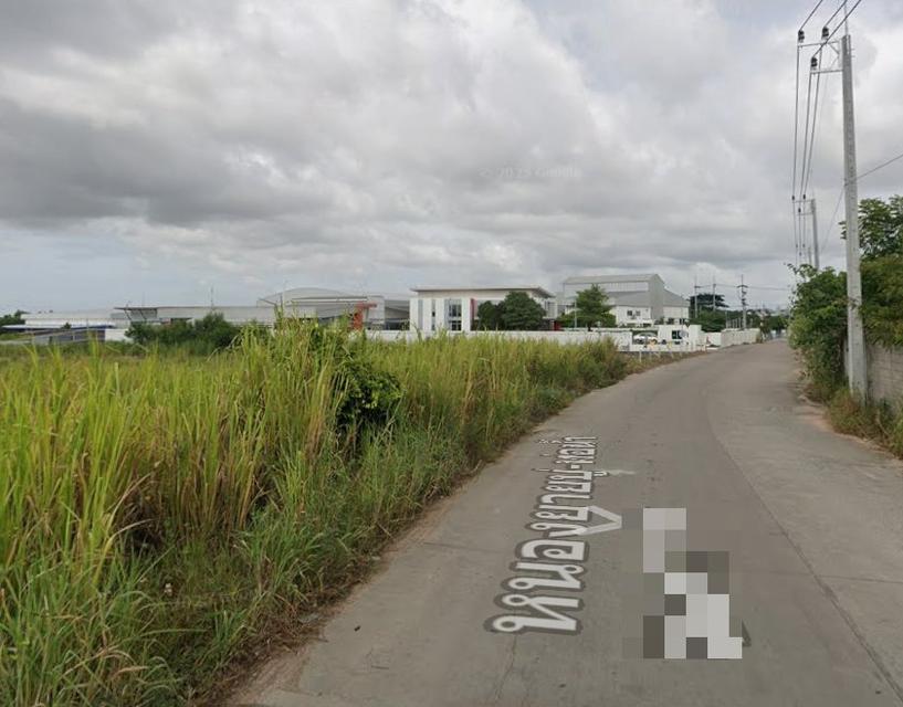 ขายที่ดินหลังนิคมปิ่นทอง หนองขาม 4 ไร่ ซอยหนองยายบู่-ท่อน้ำ ใกล้ท่าเรือแหลมฉบัง-10กม. อ.ศรีราชา ชลบุรี 6