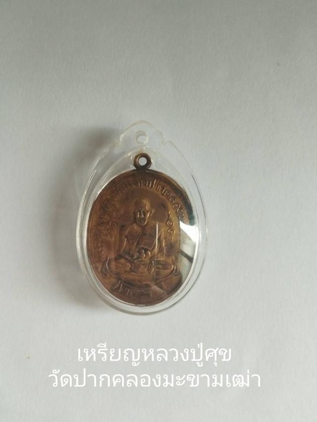 เหรียญหลวงปู่ศุข 