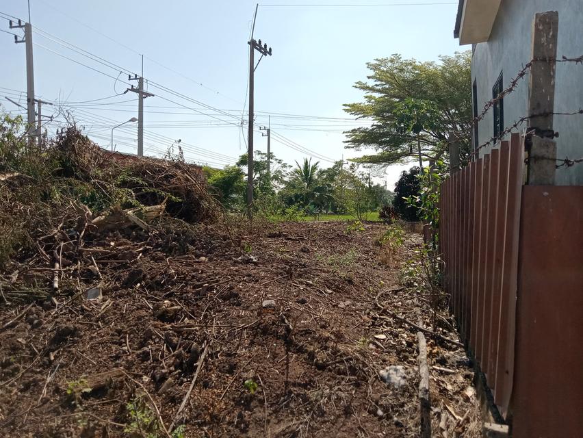 ที่ดิน 100 ตรว. บ่อเงินซอย 8 ต.บ่อเงิน อ.ลาดหลุมแก้ว จ.ปทุมธานี 8