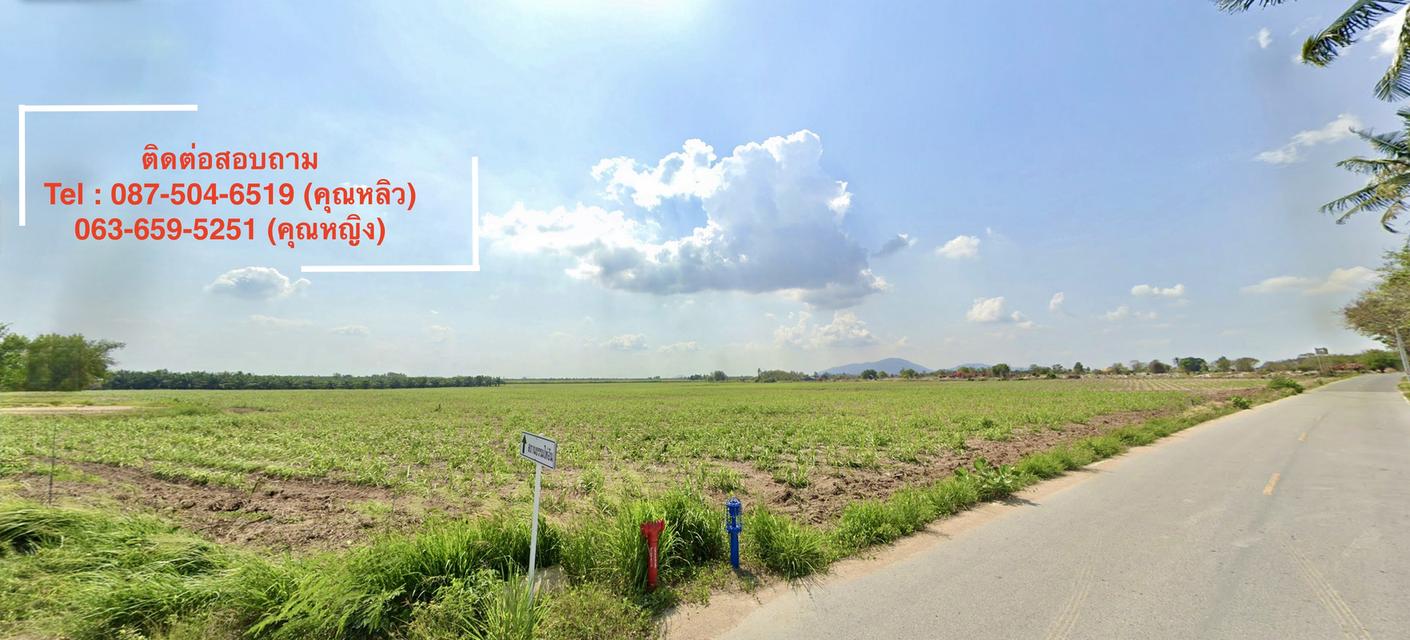 ด่วน! เจ้าของขายเอง ที่ดินหนองชาก-บ้านบึง ทำเลดี ใกล้ถนน 331 ชลบุรี 3
