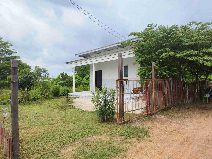 ขายบ้านสวนพร้อมที่ดินบ้านท่าถ่าน 1ไร่ 97ตรว. หลังศูนย์เด็กเล็กอบต.พนม ใกล้ถนนเส้น304เพียง500เมตร อ.พนมสารคาม ฉะเชิงเทรา 3