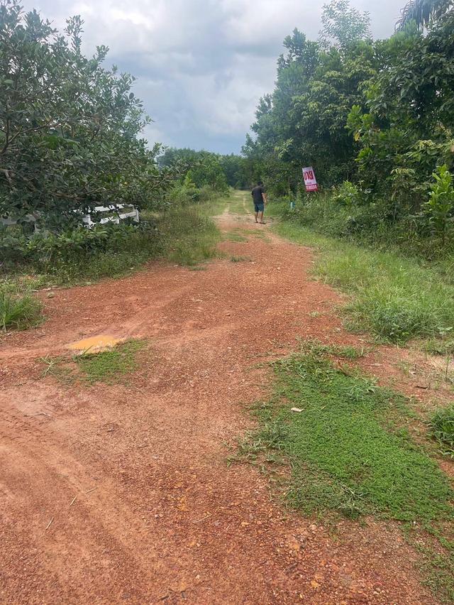 ขายที่ดินโซนศาลจังหวัดนาทวี ที่อยู่ ต.คลองทราย อ.นาทวี จ.สงขลา ที่ดินมี 2 แปลง ใกล้กัน แปลงละ 2 ห้อง ราคา ห้องละ 200000 บาท 8
