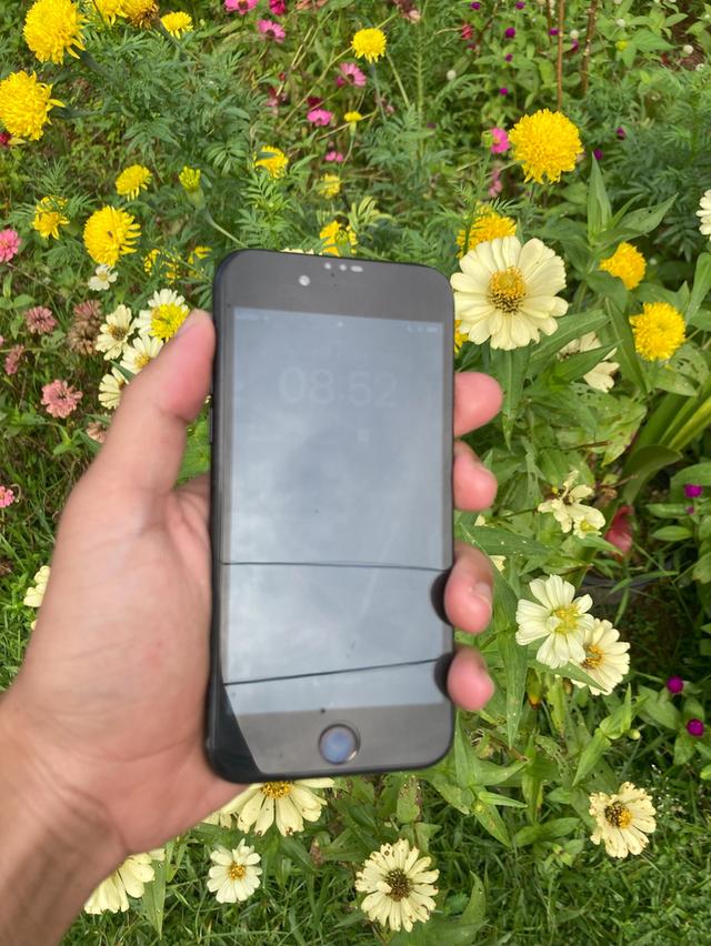 SE 2 128 GB