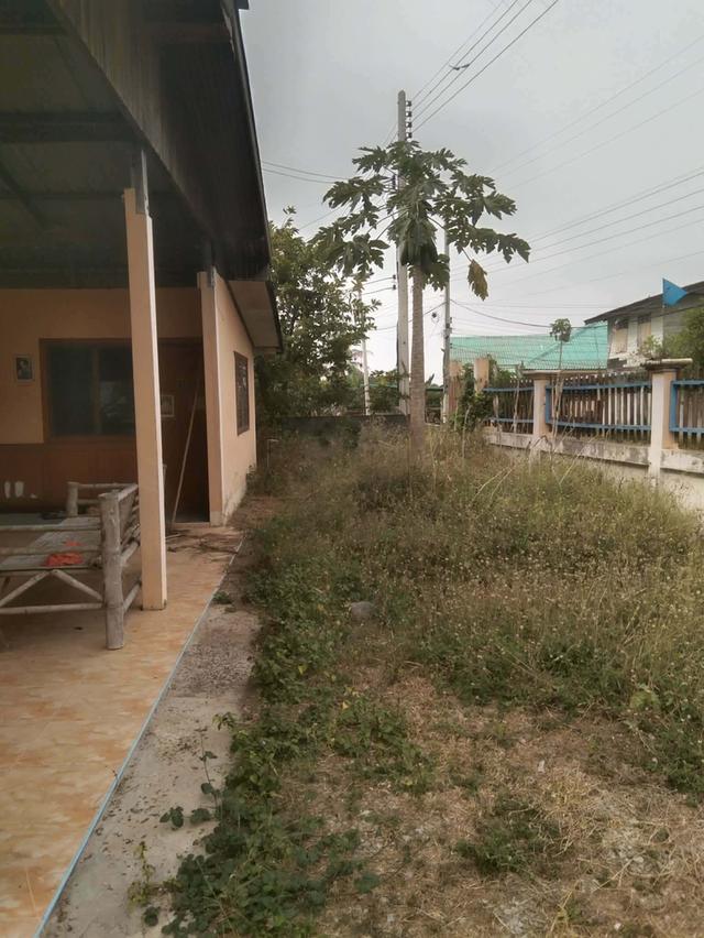 ขายบ้านมือสองพร้อมที่ดิน 17