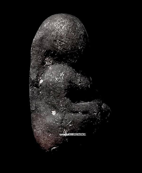 หลวงพ่อทวดนอโม พ่อท่านหวาน วัดลานควาย จ.ปัตตานี ปี2514