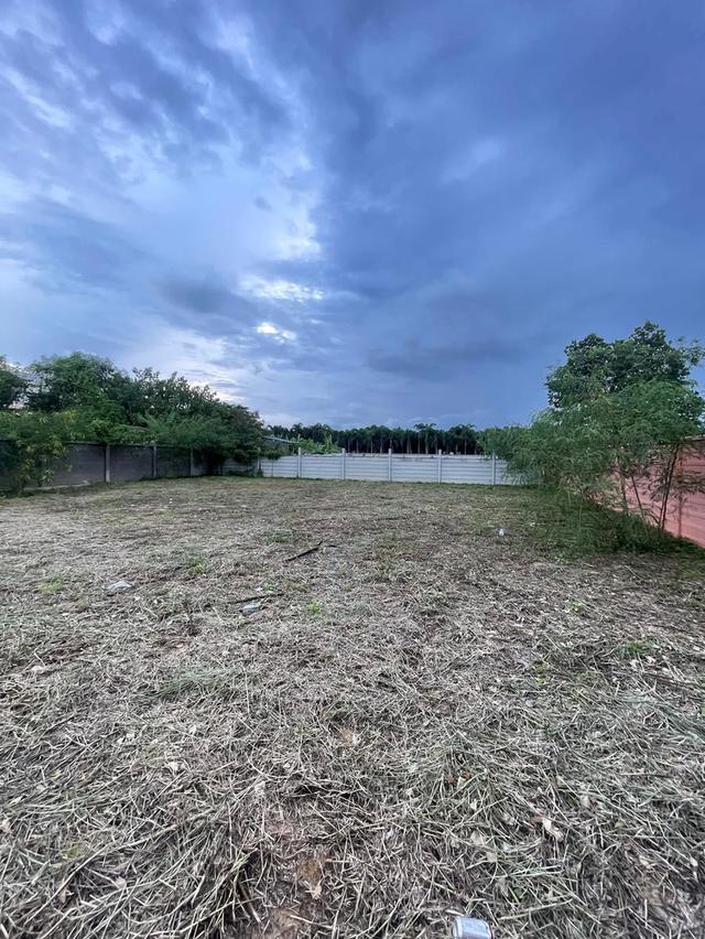 ขายที่ดิน 140 ตรว พุทธมณฑลสาย2  ใกล้พรานกตัดใหม่-สาย4 8