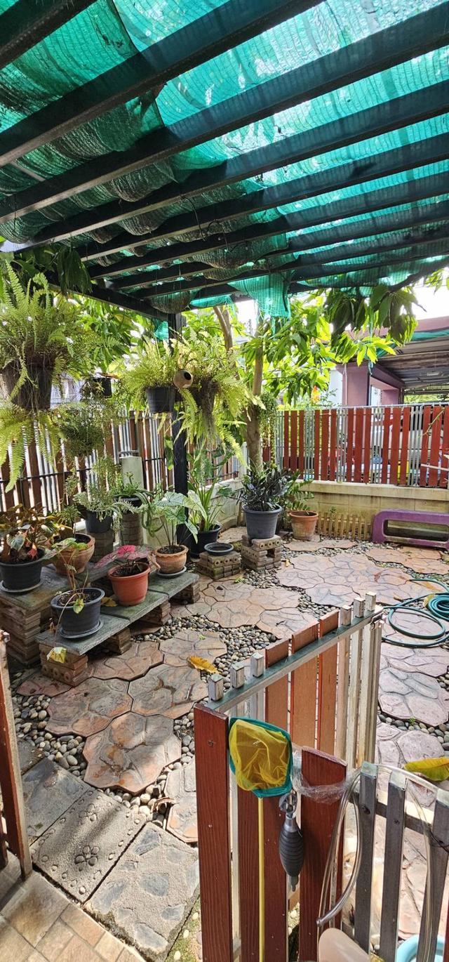 หมู่บ้านเฟอร์เฟคโฮม ถนนสายเอเชีย-โรจนะ นราวดี ซิตี้พาร์ค 5