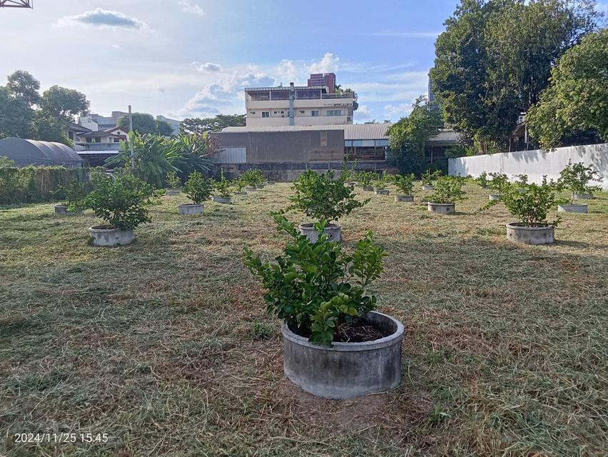 ขายที่ดิน รามคำแหง ซอย 12 พื้นที่ 696 ตารางวา ขายยกแปลงหรือแยกแปลง  ราคาขาย 120,000บาท/ตารางวา 1