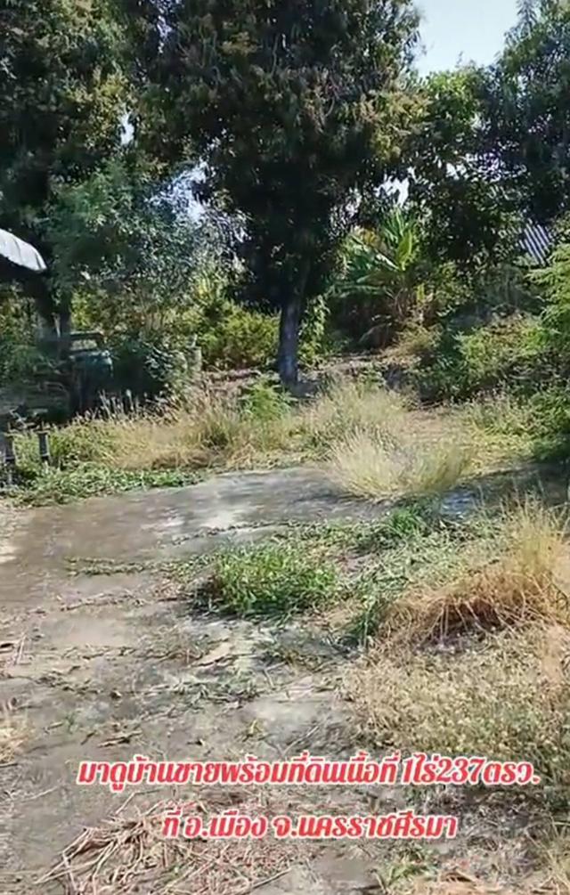ที่ดิน พร้อมบ้านหลังใหญ่ 3
