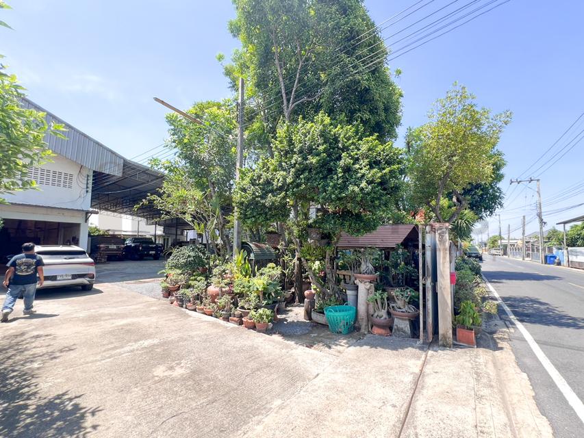โกดังสินค้า โรงงานแปรรูปไม้ ซอยลำโพ 49 บางบัวทอง นนทบุรี รูปที่ 2