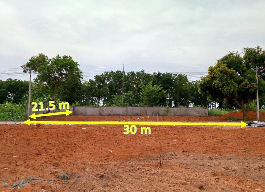 ขายที่ดินทำเลทอง เหมาะทำ Pool Villa - พัทยา ชัยพฤกษ์ 2/7 2