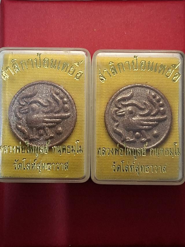 สาริกาป้อนเหยื่อ วัดโล่ห์สุทธาวาส