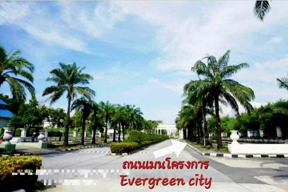 ขายที่ดิน โครงการติดถนนใหญ่ ใกล้รถไฟฟ้าMRTหลักสอง-เดอะมอลล์บางแค 5