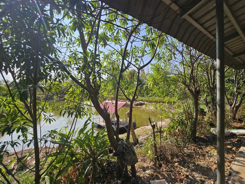 อาคารพาณิชย์ พร้อมที่ดิน 7