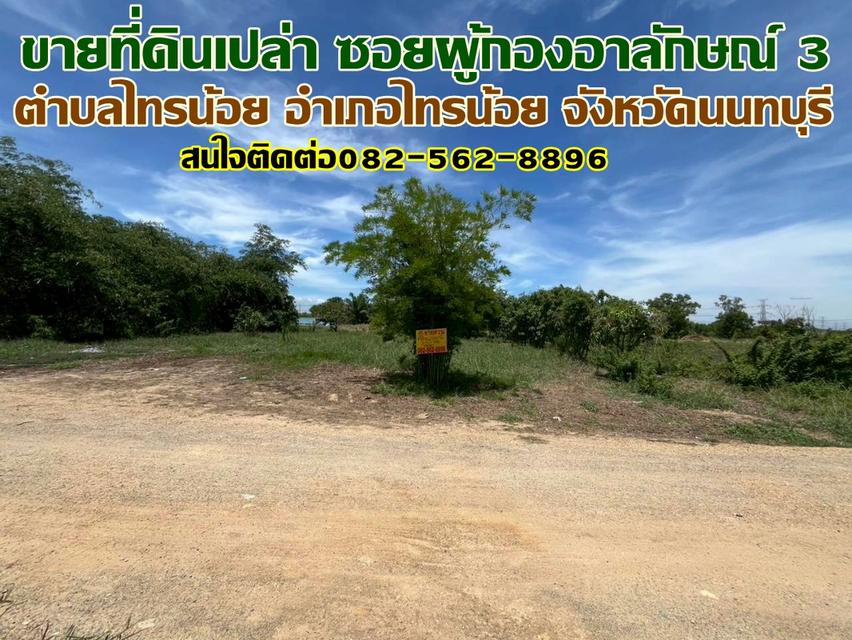 ขายที่ดินเปล่า ซอยผู้กองอาลักษณ์3 ไทรน้อย นนทบุรี 1