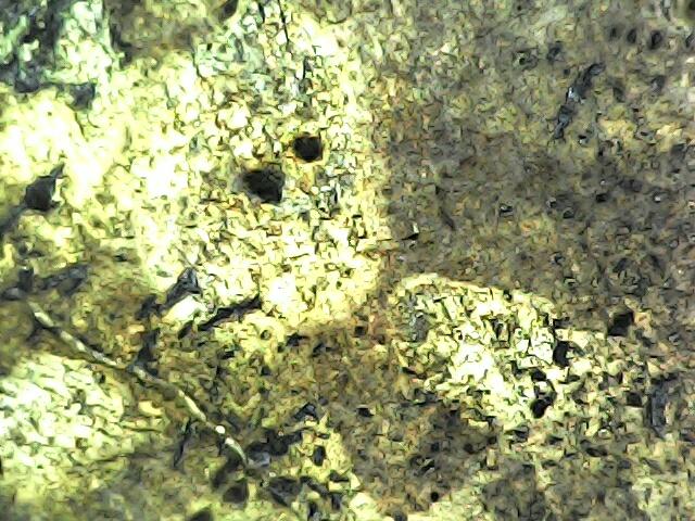 พระหลวงปู่ทวดหลังเตารีด 6