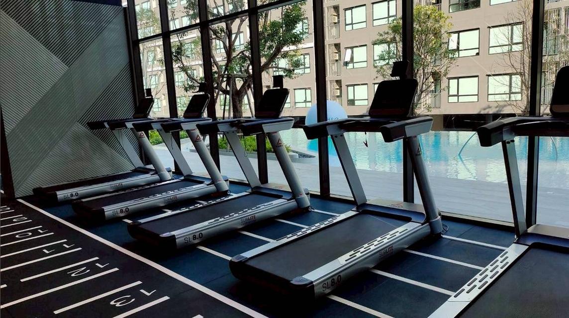 โครงการ : ดิ ออริจิ้น สุขุมวิท 105 | The Origin Sukhumvit 105 12