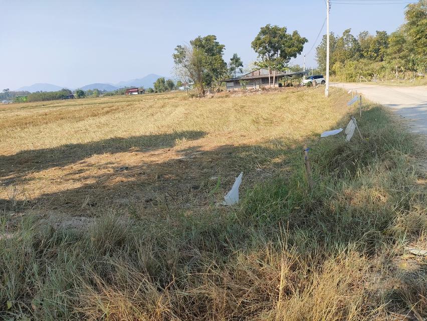 ขายที่ดินเกษตรด่วนจำนวน 6 ไร่ 3 งาน 84 ตารางวาน้ำไฟเข้าถึงอยู่ในเขตชุมชนหมู่บ้าน 3