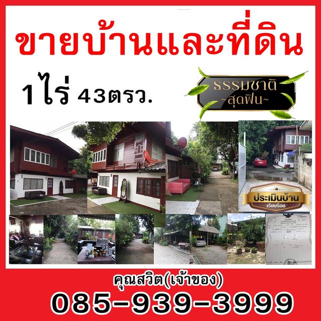ขายบ้านพร้อมที่ดินเชียงราย(เจ้าของขายเอง)
