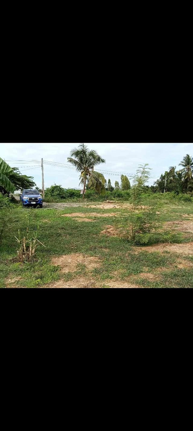 ที่ดิน 6