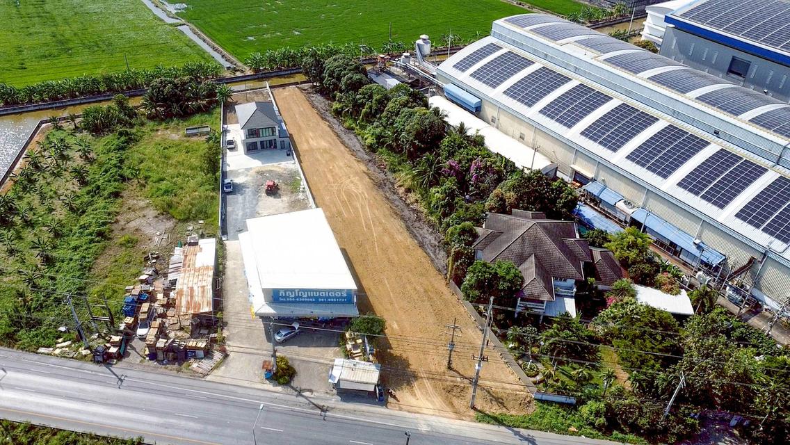 เปิดประตูสู่ธุรกิจบนถนนสายหลัก! ที่ดินสาย 5 ถมแล้ว 100% ติดถนนใหญ่หน้ากว้าง 22.5 ม. 9