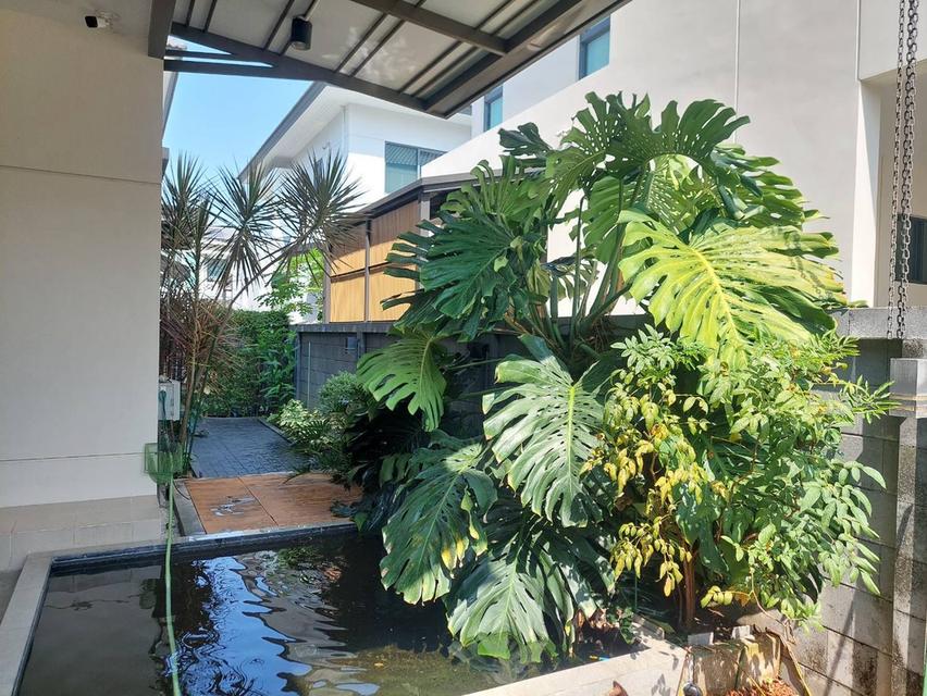 House For Sale The City บรมราชชนนี-ทวีวีฒนา 5