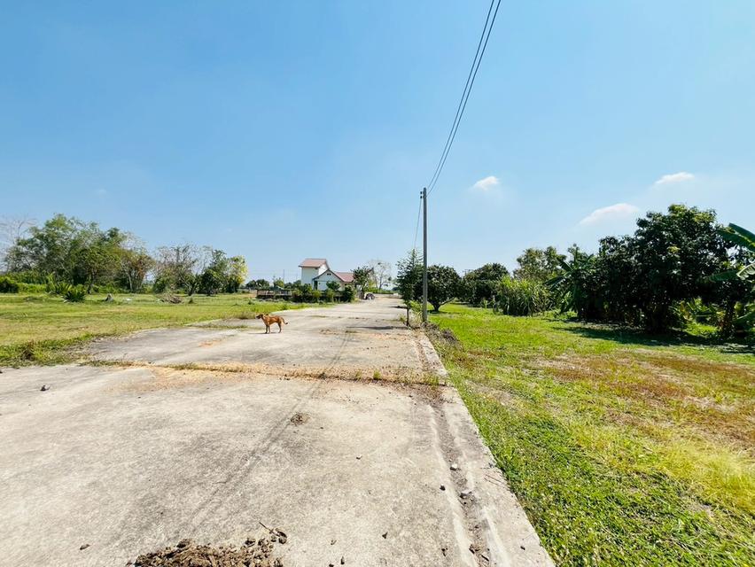 ที่ดิน พร้อมบ้านเดี่ยว 2 ชั้น ถนนรังสิต-นครนายก ตำบลบึงน้ำรักษ์ อำเภอธัญบุรี จังหวัดปทุมธานี 7