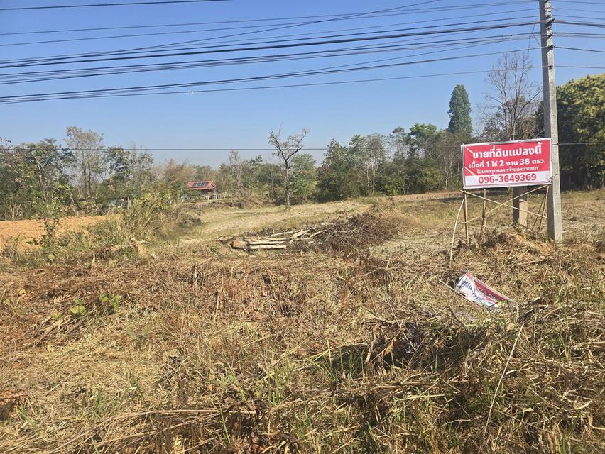 ขายที่อำเภอภูกระดึง 3