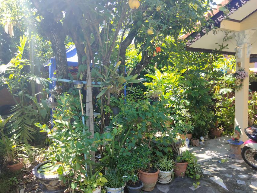บ้าน 1