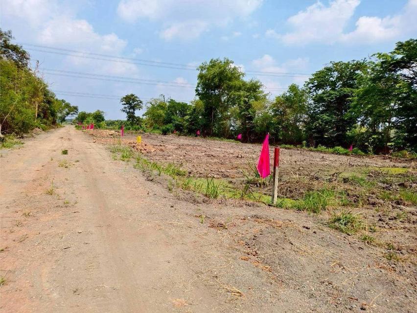 โอกาสมีที่ดินเป็นของตัวเอง คลอง 12 หนองเสือ เริ่มเพียง 360,000 บาท 17