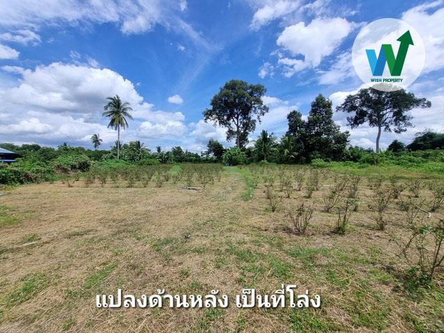 ขายที่ดินแปลงใหญ่ ศิลาดาน มโนรมย์ ชัยนาท 8ไร่ 2 งาน 49 ตร.ว. มีน้ำไฟพร้อม ใกล้ถนนพหลโยธิน 7
