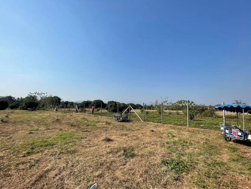 ขายที่ดินถมแล้ว 20 ไร่ 3 งาน 32.4 ตร.ว. เป็นสวนเกษตร (ไม่เสียภาษีที่ดิน) ติดแม่น้ำแตง อ.แม่แตง จ.เชียงใหม่ 4