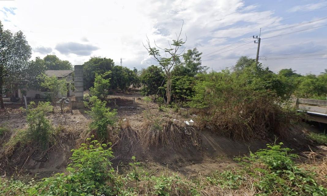 ขายที่ดินแปลงสวย ถูกสุดในย่าน 2 ไร่ 2 งาน 97 ตารางวา อำเภอดอยหล่อ จังหวัดเชียงใหม่ 2