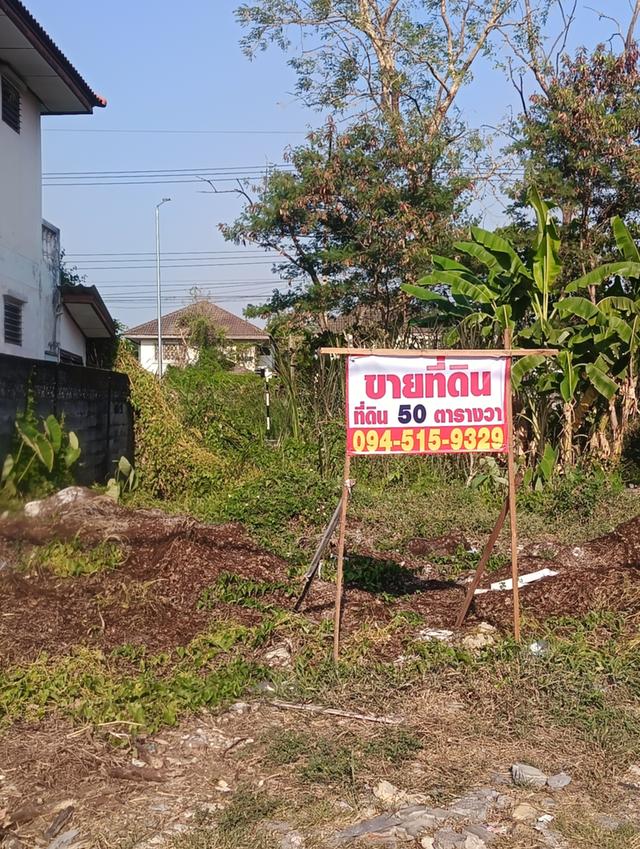 ขายที่ดิน 50 ตรว. ซอยรังสิต - นครนายก 59(เป๋าตุงกุ้งย่าง) เข้าซอยเพียง 800 เมตร ทำเลดีอยู่ในเขตชุมชน ที่สี่เหลี่ยม10x20เมตร เหมาะสร้างบ้านพักอาศัย 1