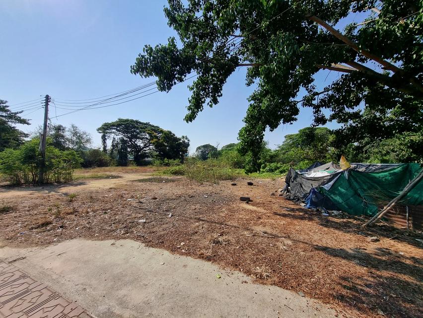 ที่ดินเปล่า ใกล้ถนนหลัก 2ไร่ 3งาน เหมาะสำหรับลงทุน 2