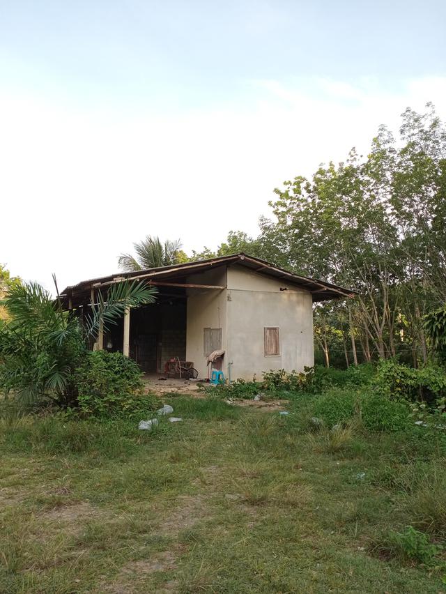 ที่ดิน อ.โป่งน้ำร้อน จ.จันทบุรี 8